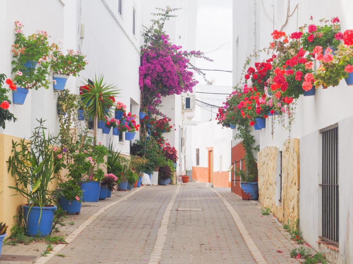 Conilplus Apartamento Lenguado Conil De La Frontera Εξωτερικό φωτογραφία